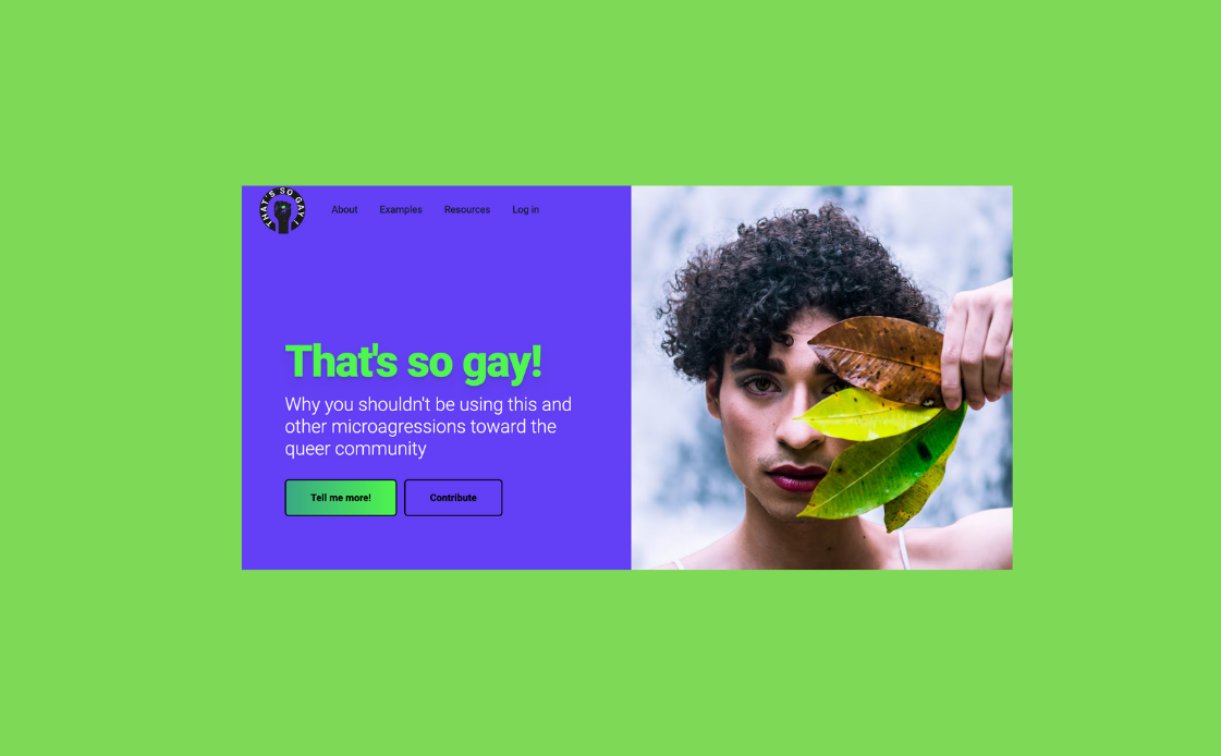 screenshot of that's so gay' platform